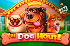 Играть в слот The Dog House